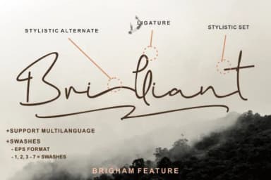 Brigham Script Font by glyphstyle — Script Handwritten Font — thumbnail 5