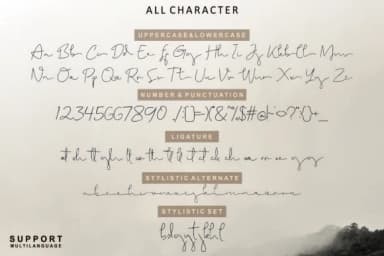 Brigham Script Font by glyphstyle — Script Handwritten Font — thumbnail 6