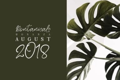 Bright Glow Font by Creativeqube Design — Script Handwritten Font — thumbnail 2