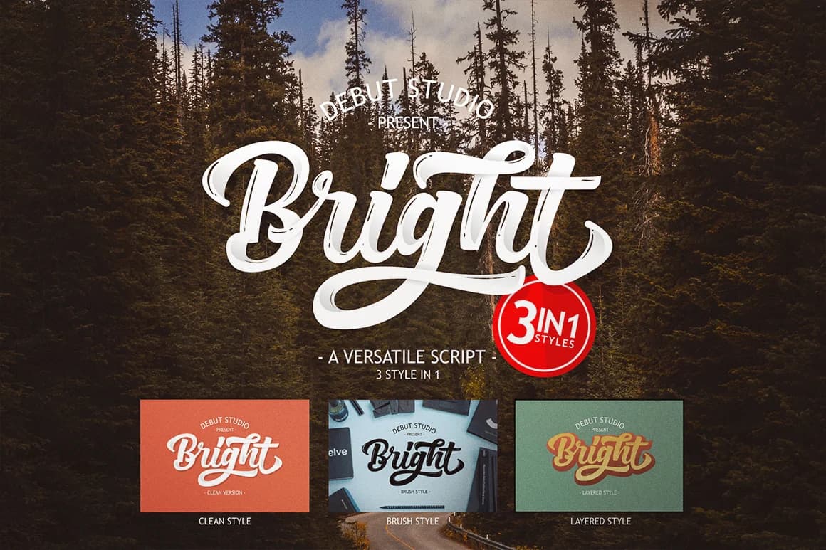 Bright Script Font by Debut Studio — Script Handwritten Font