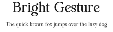 Bright Gesture by Letterhend Studio — Serif Font — thumbnail 1