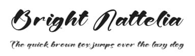 Bright Nattelia by Letterena Studios — Script Handwritten Font — thumbnail 1