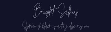 Bright Salkiy by Sweet salty — Script Handwritten Font — thumbnail 2