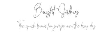 Bright Salkiy by Sweet salty — Script Handwritten Font — thumbnail 1