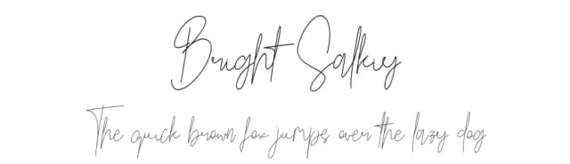 Bright Salkiy by Sweet salty — Script Handwritten Font
