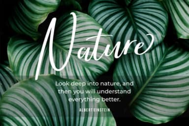 Brightish Font by Balpirick — Script Handwritten Font — thumbnail 4