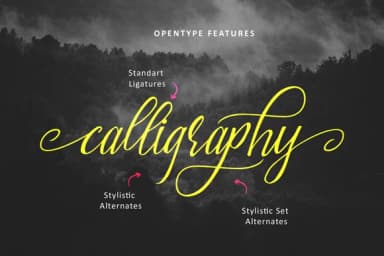 Brightside Font by QueenType — Script Handwritten Font — thumbnail 4