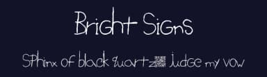 Bright Signs by Xerographer Fonts — Script Handwritten Font — thumbnail 2
