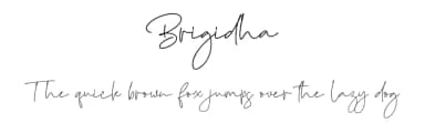 Brigidha by Vztype Studio — Script Handwritten Font — thumbnail 1