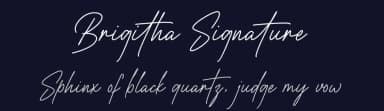 Brigitha Signature by Typeline Studio — Script Handwritten Font — thumbnail 2