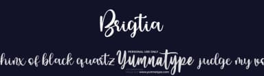Brigtia by Yumna Family — Script Handwritten Font — thumbnail 2