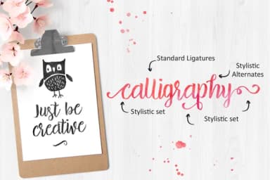 Brillia Script Font by QueenType — Script Handwritten Font — thumbnail 3