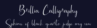 Brillia Calligraphy by AEN Creative Studio — Script Handwritten Font — thumbnail 2