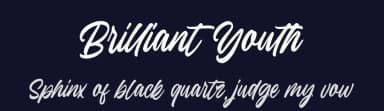 Brilliant Youth by Damarletter — Script Handwritten Font — thumbnail 2