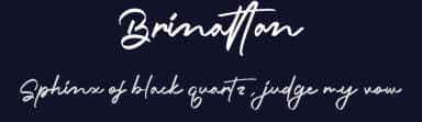Brinattan by RantautypeStudio — Script Handwritten Font — thumbnail 2
