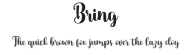 Bring by Makashi — Script Handwritten Font — thumbnail 1