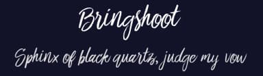 Bringshoot by Yusril Muhtadi — Script Handwritten Font — thumbnail 2