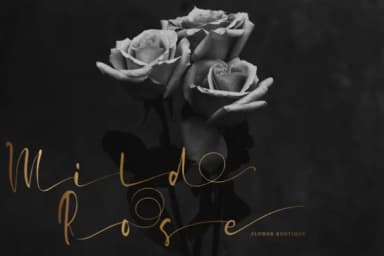 Briosh Font by Pasha Larin — Script Handwritten Font — thumbnail 7