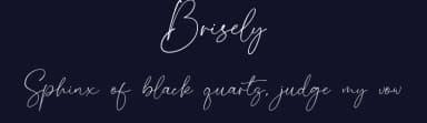 Brisely by Suby Studio — Script Handwritten Font — thumbnail 2