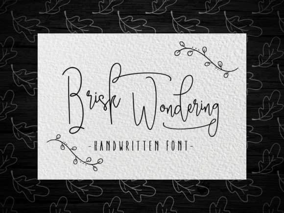 Brisk Wondering Font by moriztype — Script Handwritten Font — preview 1