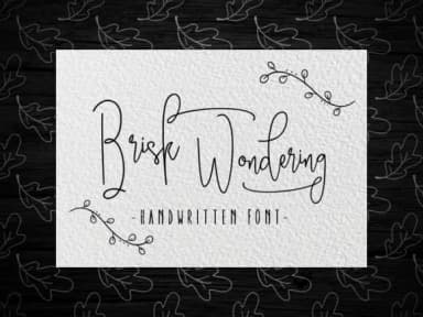 Brisk Wondering Font by moriztype — Script Handwritten Font — thumbnail 1