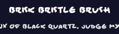 Brisk Bristle Brush by Hawtpixel — Script Handwritten Font — thumbnail 2