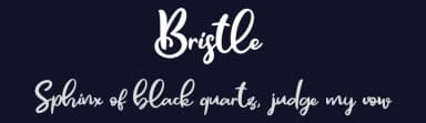Bristle by Askmewhy — Script Handwritten Font — thumbnail 2