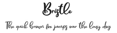 Bristle by Askmewhy — Script Handwritten Font — thumbnail 1