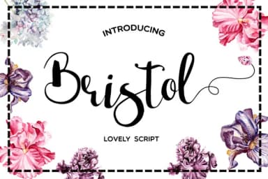 Bristol Font by Mellow Design Lab — Script Handwritten Font — thumbnail 1