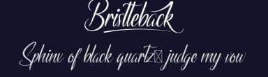 Bristteback by NihStudio — Script Handwritten Font — thumbnail 2