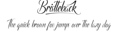 Bristteback by NihStudio — Script Handwritten Font — thumbnail 1