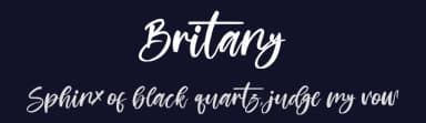 Britany by Perspectype Studio - Letterena.com — Script Handwritten Font — thumbnail 2