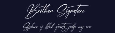 Brithan Signature by Letterena Studios — Script Handwritten Font — thumbnail 2
