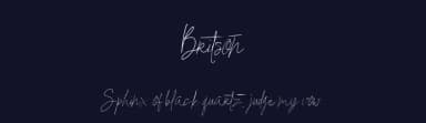 Britson by Nirmana Visual — Script Handwritten Font — thumbnail 2