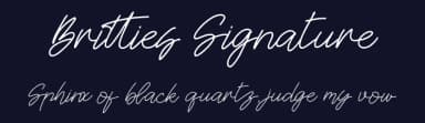 Britties Signature by Integritype Studio — Script Handwritten Font — thumbnail 2