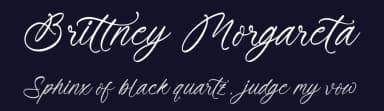Brittney Morgareta by Letterena Studios — Script Handwritten Font — thumbnail 2