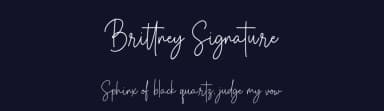 Brittney Signature by Heinzel Std — Script Handwritten Font — thumbnail 2