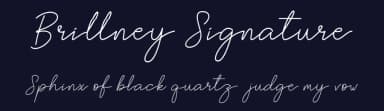 Brittney Signature by Bluestype Studio — Script Handwritten Font — thumbnail 2