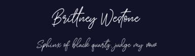 Brittney Westone by Bale — Script Handwritten Font — thumbnail 2