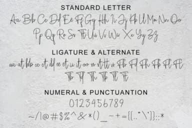 Broetown Signature Font by OCS Studio — Script Handwritten Font — thumbnail 3