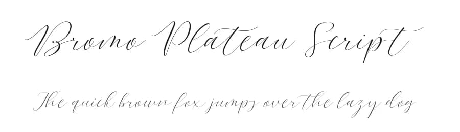 Bromo Plateau Script by Zeenesia Studio — Script Handwritten Font