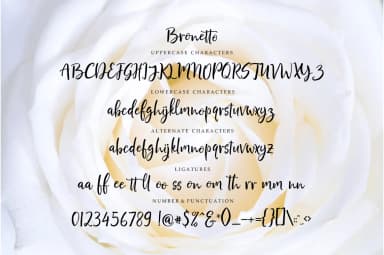Bronetto Font by Great Studio — Script Handwritten Font — thumbnail 9
