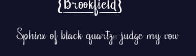 Brookfield by RaisProject — Script Handwritten Font — thumbnail 2