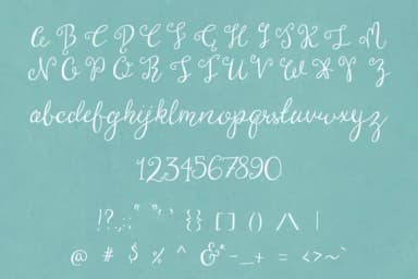 Brooklyn Girl Font by The Pen and Brush — Script Handwritten Font — thumbnail 3