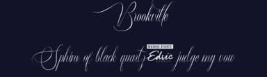 Brookville by Edric Studio — Script Handwritten Font — thumbnail 2
