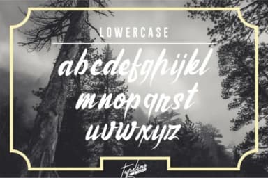 Brother Lands Font by typelinestudio — Script Handwritten Font — thumbnail 4