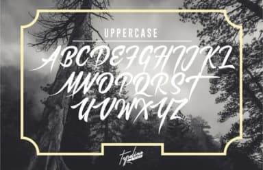 Brother Lands Font by typelinestudio — Script Handwritten Font — thumbnail 5