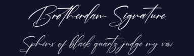 Brotherdam Signature by Perspectype Studio - Letterena.com — Script Handwritten Font — thumbnail 2