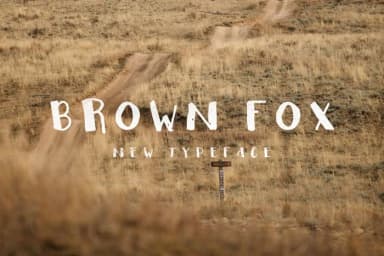 Brown Fox Font by Noe Araujo — Script Handwritten Font — thumbnail 1