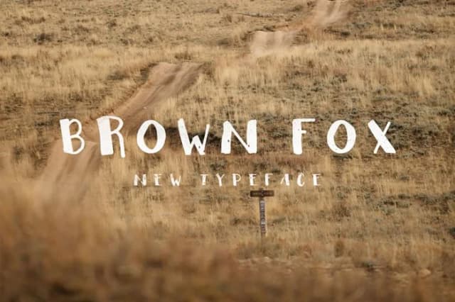 Brown Fox Font by Noe Araujo — Script Handwritten Font
